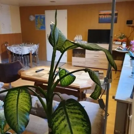 Ferienhaus Am Strelasund - #a33504